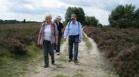 Wanderung in der Lüneburger Heide
