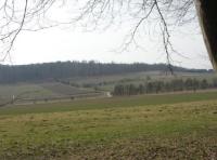 Wanderung zu den Märzenbecher