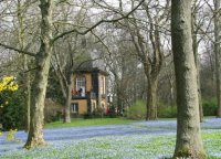 Wanderung zur Scillablüte