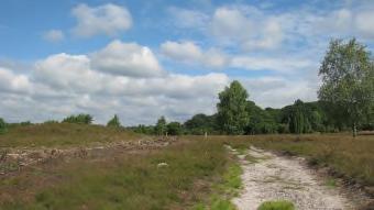 Heidewanderung