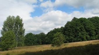 Heidewanderung