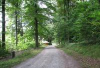 Wanderung zu den Märzenbecher