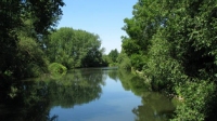 Leine, Ricklinger Teiche, Leineinsel Döhren