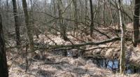 Wanderung im Neustädter Moor
