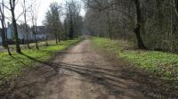 Wanderung im Neustädter Moor